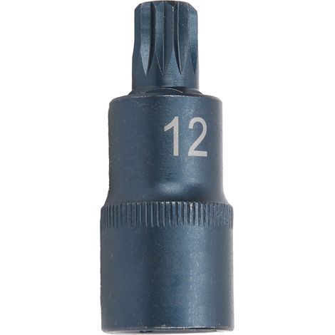 Steckschlüssel Aus Legiertem Stahl, Brüniert, 12-kant, 1/2"-m12-antriebsanschluss, Bitadapter
