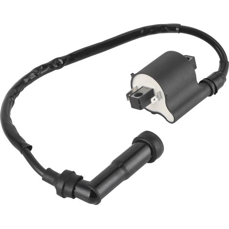 Zündspule 1d6823100000 Ersatzteil Passend Für Yamaha Royal Star 1300/venture 1300/boulevard 1300