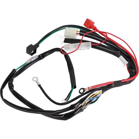 Kabelbaum Für Elektrischen Anlasser, Für Pitbike, Motorrad, Atv, Quad, 70 Cm³, 90 Cm³, 110 Cm³, 125 Cm³