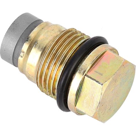 110010015 Kraftstoffverteilerrohr-druckbegrenzungsventil Für Chrysler / Ford / Honda