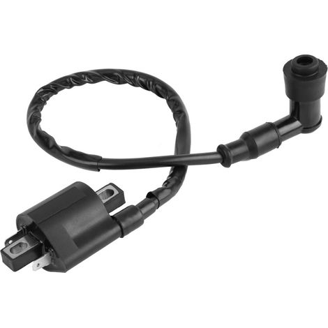 Zündspule Für Motorräder, 2er-pack Zündspule Für Cbf125 Cbr125 Cr125 Cr250 Crf450 Cr500 Trx650 Trx700