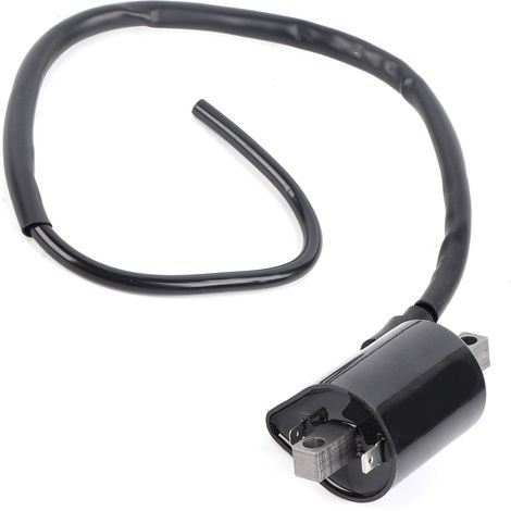 2-polige Hochleistungszündspule Für Yamaha Cart G2 G9 Modelle J38823102000
