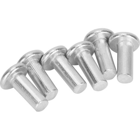 100 Stück Gb867 M4 Flachkopf-aluminiumnieten, Vollnieten Mit Flachem Kopf (m4 12)