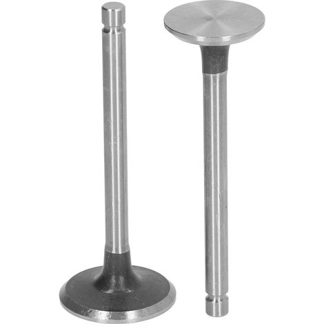 2-teiliges Einlass- Und Auslassventil-baugruppen-set Aus Legiertem Stahl Für Mini-gartenfräsen