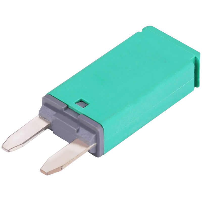14v Dc Mini-flachsicherungen Mit Selbstrückstellung Für Auto, Lkw, Boot, Wohnmobil, 30a, Grün