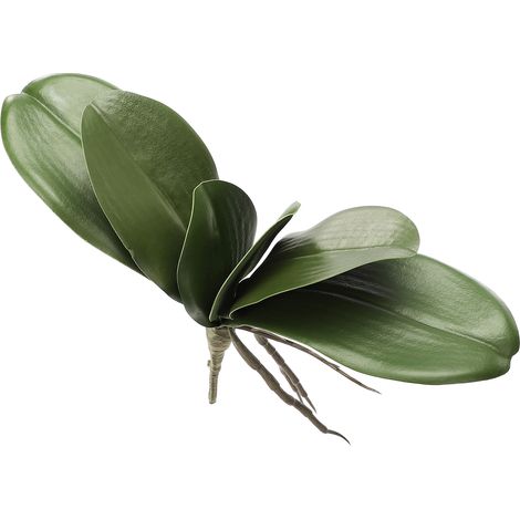 Eva-simulationsblätter Der Phalaenopsis-orchidee, Künstliche Blätter Mit Realistischer Haptik, Latex-cymbidium-stängel Für Blumenarrangements Und Topfdekoration (k)