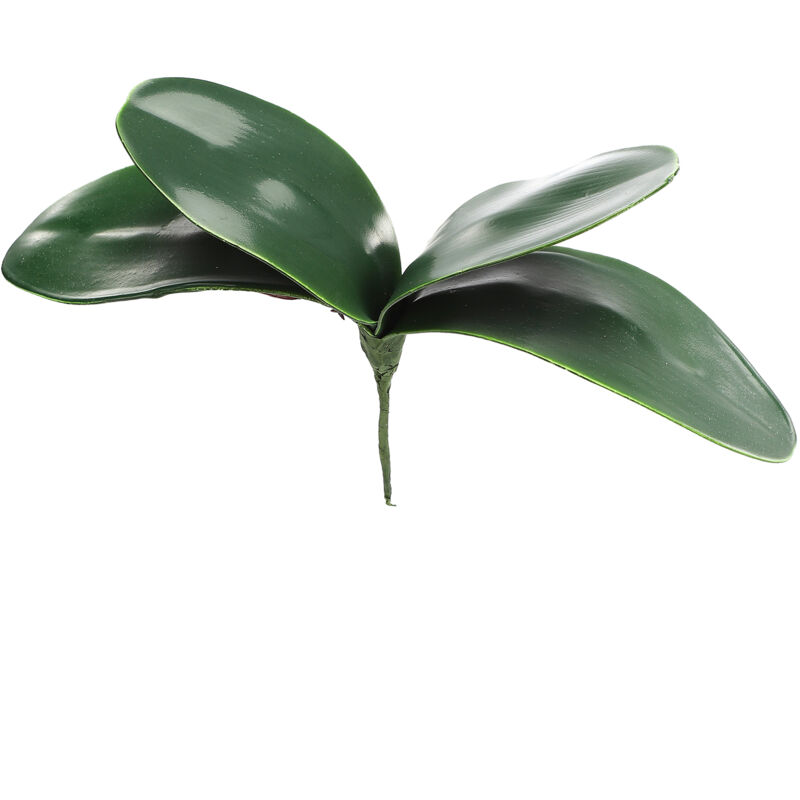 Eva-simulation Von Phalaenopsis-orchideenblättern, Künstliche Blätter Mit Realistischer Haptik, Latex-cymbidium-stängel Für Blumenarrangements Und Topfdekoration (c)
