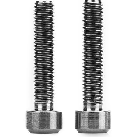 Stück/set M5x25mm Bremshebelschrauben Aus Titanlegierung Für Mountainbikes (titan)