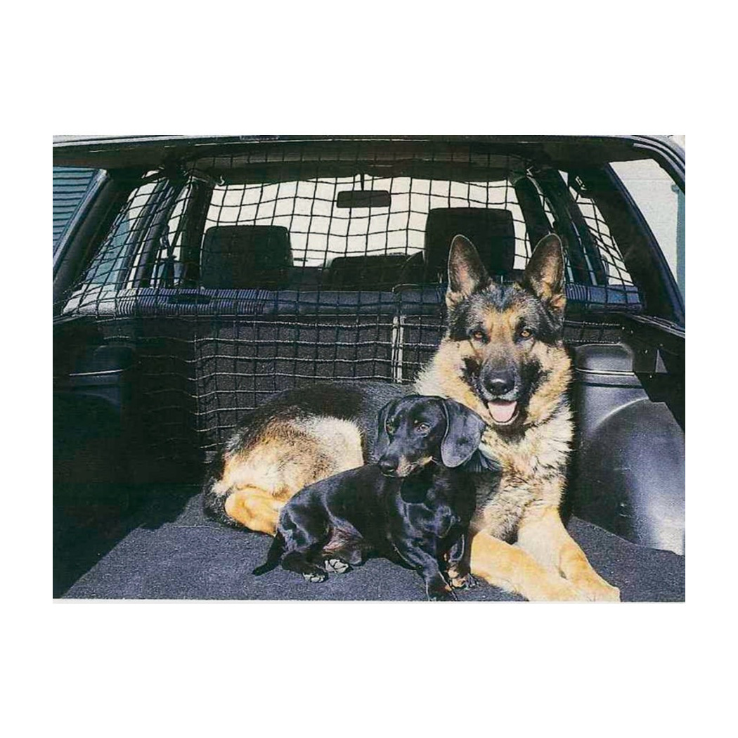 Trade Shop - Entwicklung In Der Elastischen Networten Für Magliegen Transport Cani Und Animal Gatt -