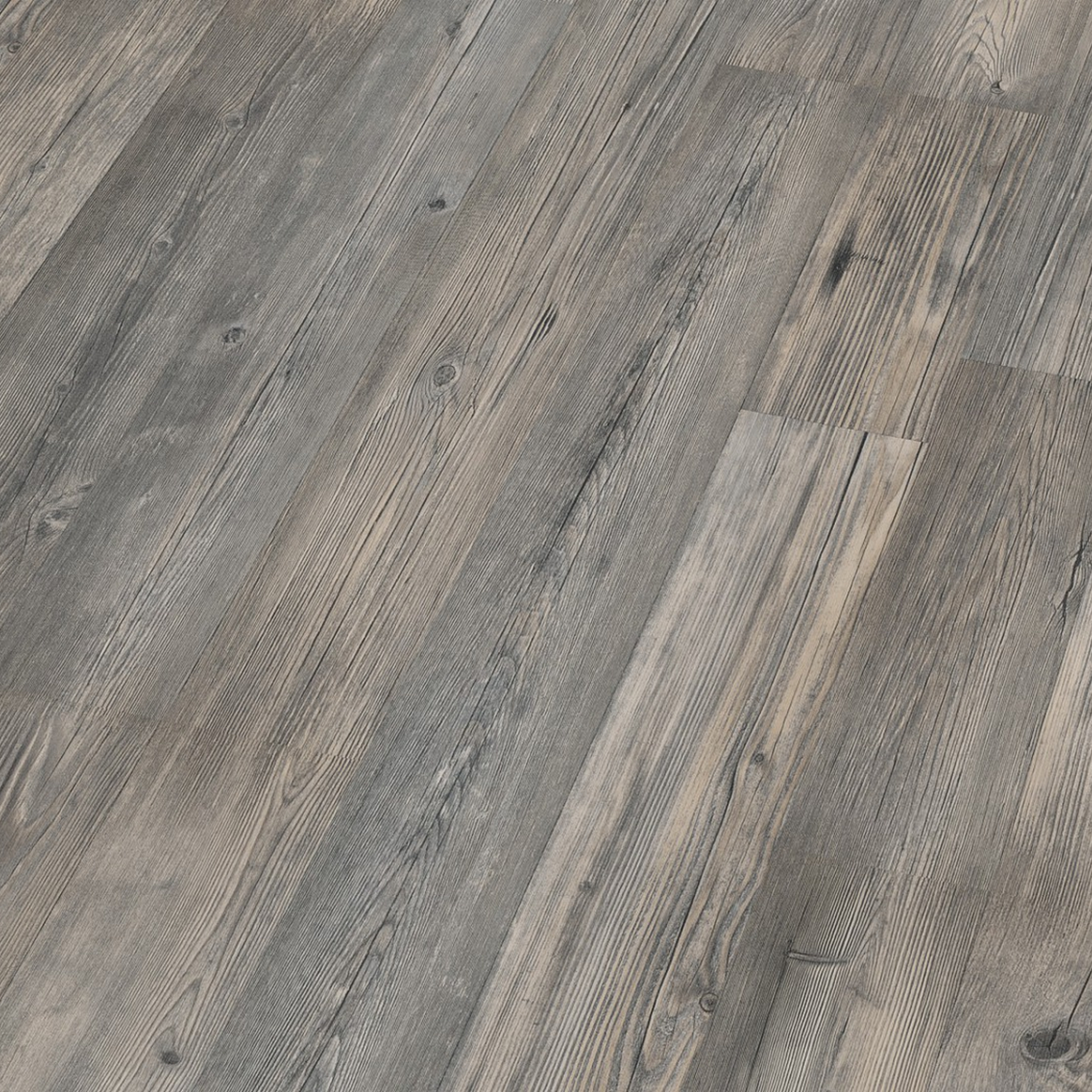 Classen Laminat '731-0' Kiefer grau 7 mm Bild 3
