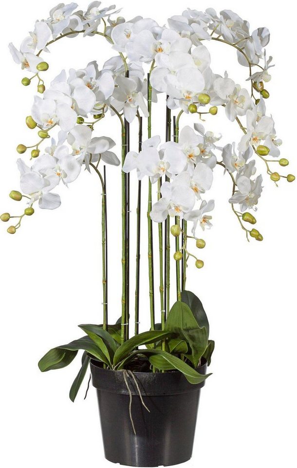 Kunstpflanze Orchidee, Creativ green, Höhe 110 cm Bild 3
