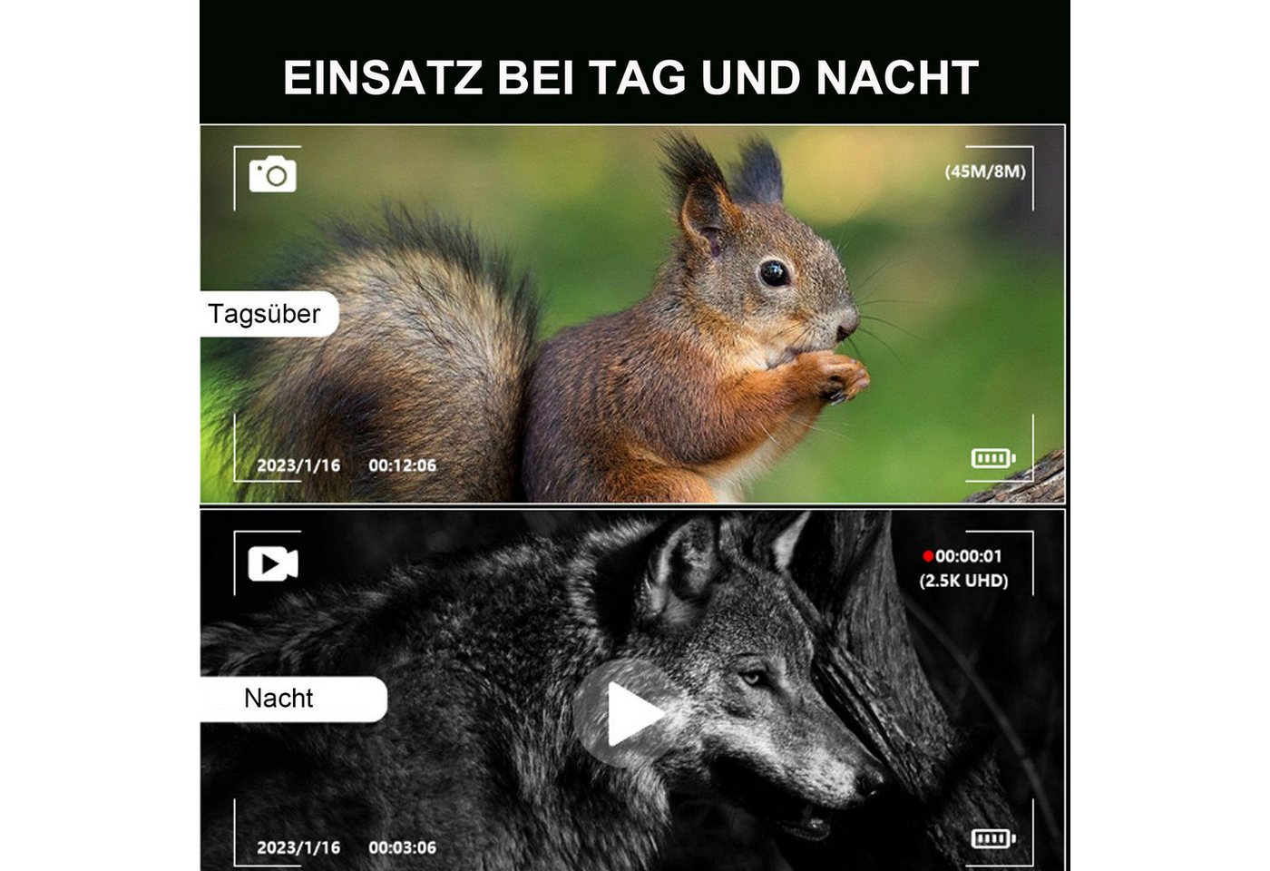 feinlux Nachtsichtgerät, Nachtsichtgeräte, Teleskop, Fernglas Fernglas (8-stufige Helligkeitsregelung) Bild 4