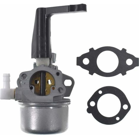 Gilt Für Den Ersatzvergaser Mit Dichtungssatz Für Briggs & Stratton 696065 110402
