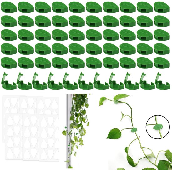 Dailygoods – Wandpflanzenhalter – 60 Pflanzenclips – Kunststoff