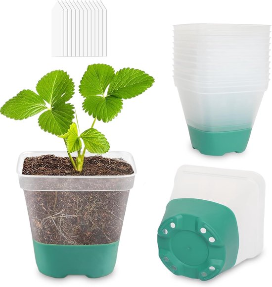 12 Anzuchtschalen 12 Etiketten 8 Cm Transparent Mit Silikonboden Quadratische Kunststoff-anzuchtschalen Geeignet Für Den Anbau Von Pflanzen Im Blau