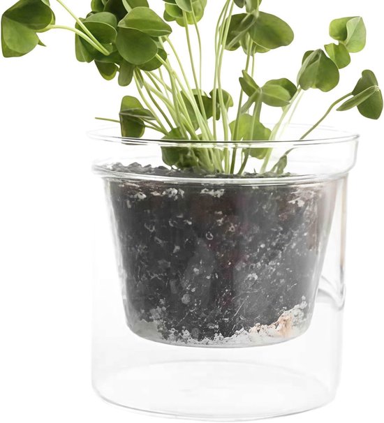 Transparenter Pflanzkübel – Doppelwandiger Blumentopf – Pflanzenpflege – Integrierter Wasserspeicher – 13 X 13 X 13 Cm – Transparent