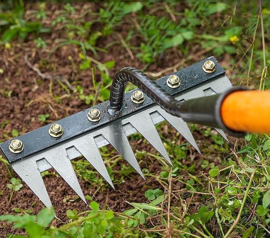 Berthaus Unkrautrechen 6 Zinken – Robust, Für Boden Und Rasen