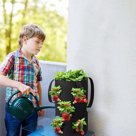 Pflanzsäcke Für Erdbeeren Und Gemüse – Hängebeutel Mit Loch – Hängekorb Aus Vliesstoff Für Pflanzen – Geeignet Für Kräuter, Gemüse Und Blumen
