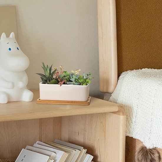 17 Cm Großer Keramik-sukkulententopf Mit Weißem Bambusuntersetzer 2er-set Kaktusblumentopf Dekotopf Pflanzgefäß Geschenk Für Geburtstag Und