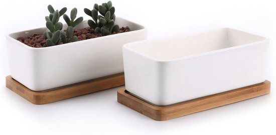 2er-set Rechteckige Keramik-sukkulententöpfe 16 7 Cm Mit Bambusuntersetzer Kleiner Kaktustopf Mit Abflussloch Weiß Für Sukkulenten Aloe Vera Und