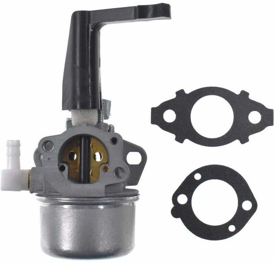 696065 Ersatzvergaser Mit Dichtungssatz, Passend Für Briggs & Stratton