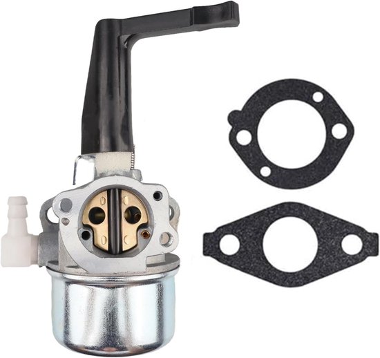 Vergaser 696065 Mit Dichtung – Passend Für Briggs & Stratton 697422, 110402, 110412, 215369
