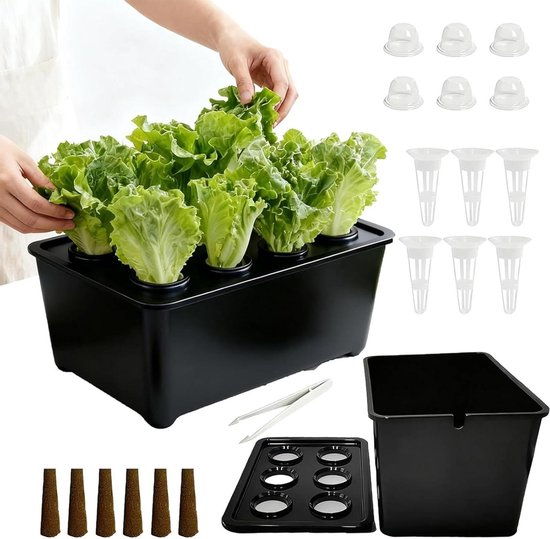 Hydroponisches Pflanzensystem – Indoor-anbauset – Ganzjähriger Anbau – Substrat Ohne Erde – 12,8 X 16,2 X 12,8 Cm – Schwarz