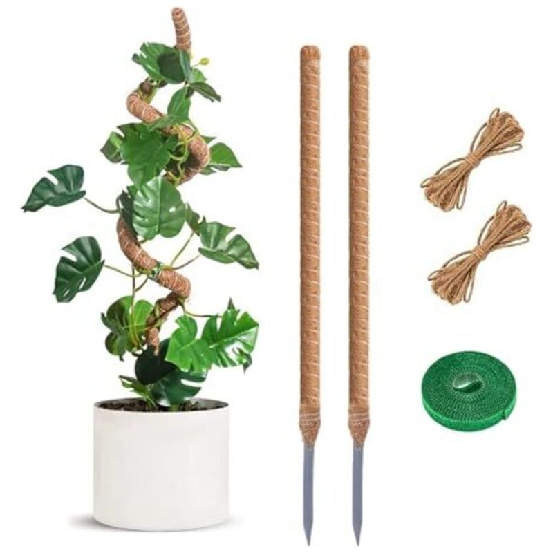 2-teiliges, 60 Cm Langes, Faltbares Kokosnuss-pflanzenstützsystem Für Kletterpflanzen, Ausziehbar Für Garten Und Zuhause