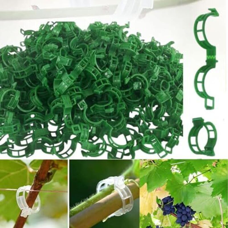 Pflanzenstützclips, Tomatenclips Für Den Garten, Stützclips Für Gartenpflanzen, Clips Für Gemüse, Tomatenranken, Stängel Für Gerades Und Gesünderes Wachstum (100, Grün)