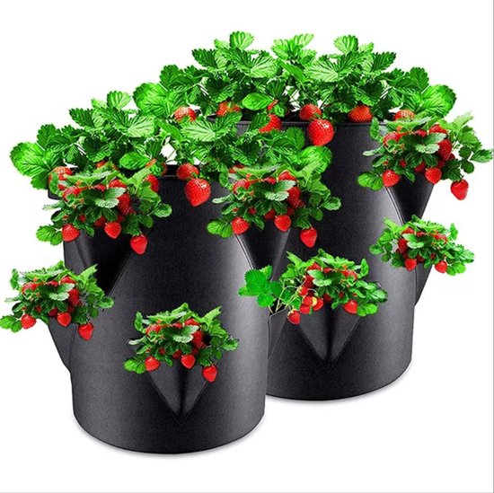 Set Mit 2 Filz-pflanzbeuteln Für Erdbeeren 45 X 35 Cm Pflanzbeutel Für Erdbeeren Und Kleines Gemüse Beutel Für Gärten Balkone Pflanzen Beutel Für Blau