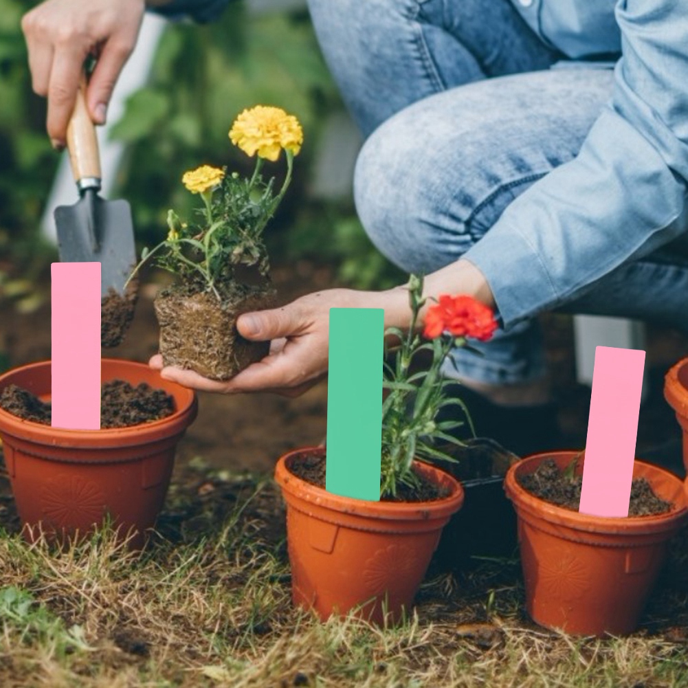 100 Stück Pvc-pflanzentopf-etiketten, Markierungen, Baumschul- Und Gartensamen-schilder (rosa, Grün)