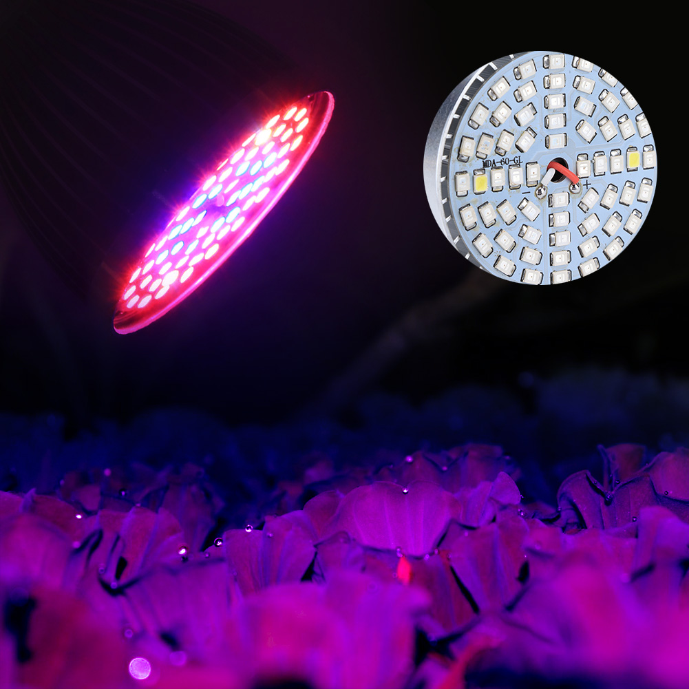 60w 60led Vollspektrum-pflanzenlampe Für Hydrokultur, Blumenanbau, 85-265v