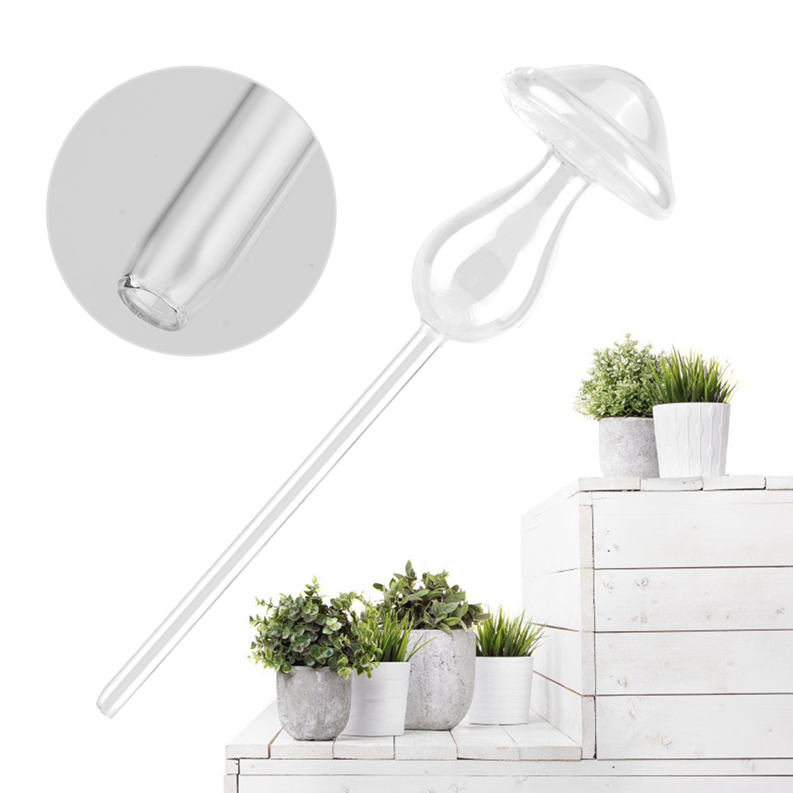 Automatische Bewässerungsanlage Für Zimmerpflanzen Und Blumen, Durchsichtiger Glas-wasserspender In Pilzform