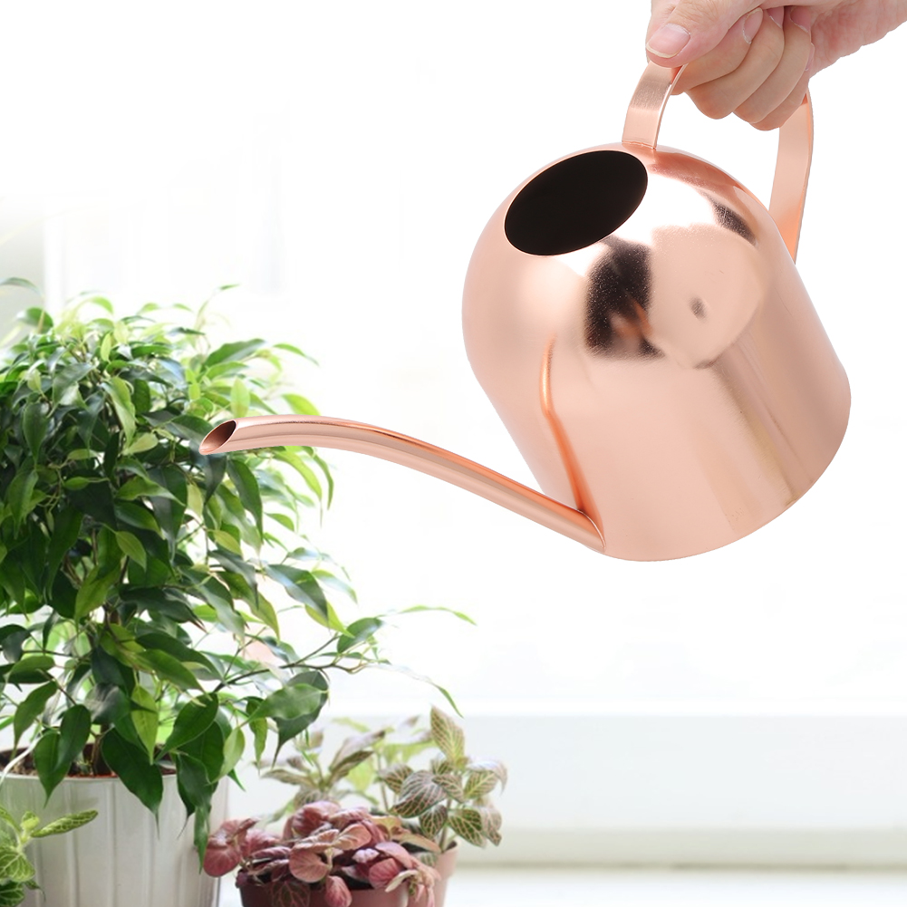 1000 Ml Edelstahl-gießkanne Mit Langer Öffnung, Ideal Für Gartenblumen Und Pflanzen
