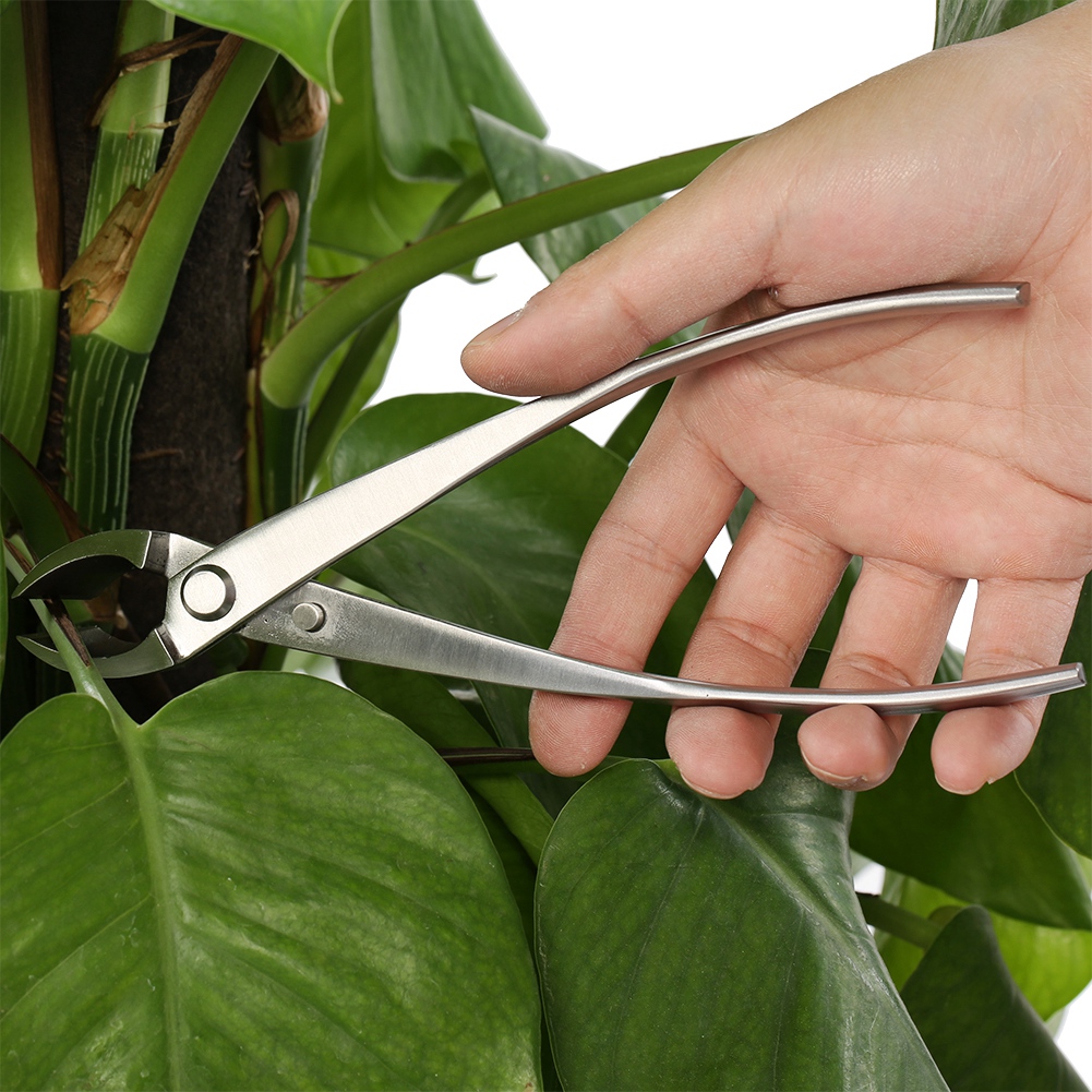 Professioneller Astschere Mit Runder Schneide Aus Edelstahl, Gartenastschneider, Bonsai-werkzeug