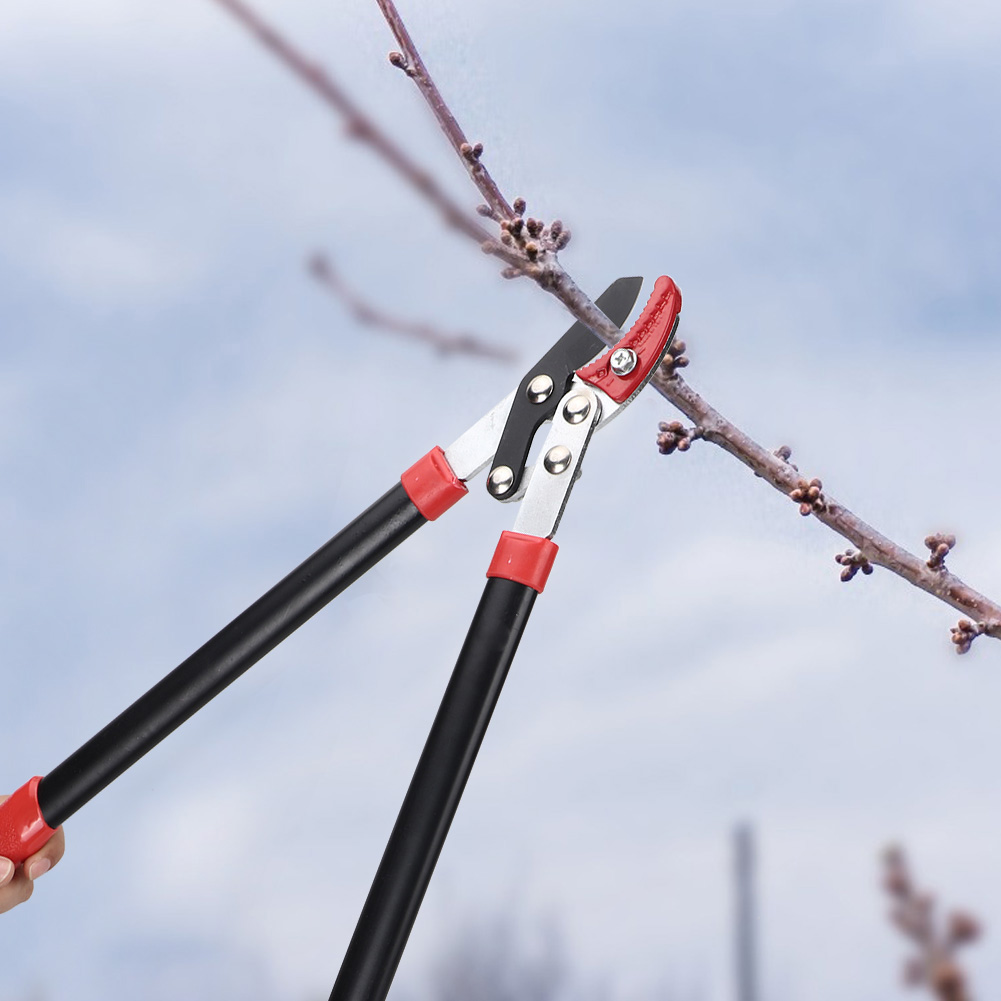 Gartenarbeit, Baumschnitt, Astschere, Gartenschere, Astschneider, Schneidewerkzeug