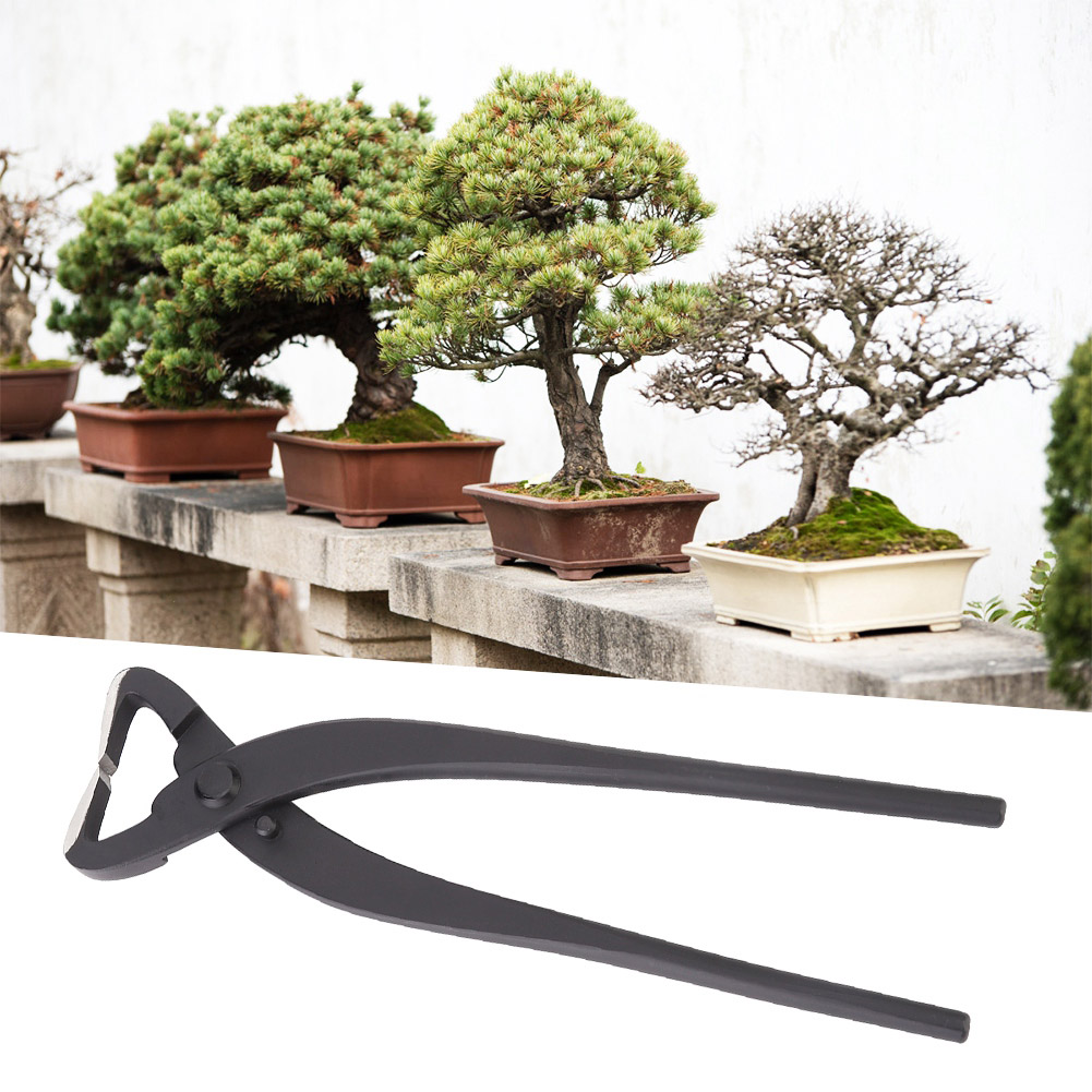 Hochwertiger Stammspalter Aus Stahl, Bonsai-modellierwerkzeug Für Anfänger, 210 Mm