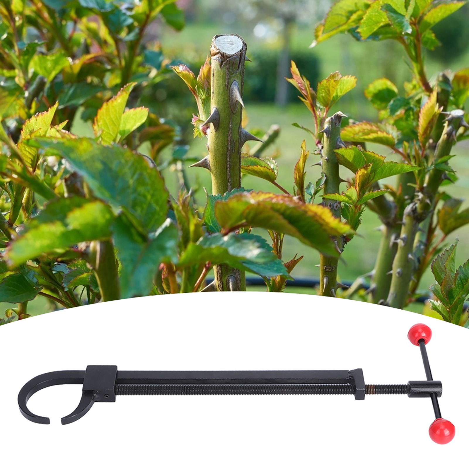 Garten-bonsai-baum-astbieger, Stammversteller, Garten-diy-werkzeug