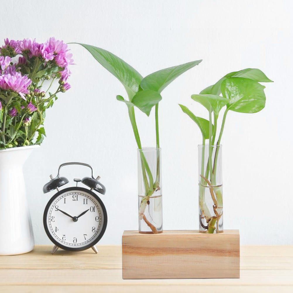 Glas-reagenzglas-blumentopf, Hydrokultur-pflanzvase, Terrarium-behälter, Heimdekoration Mit Gestell