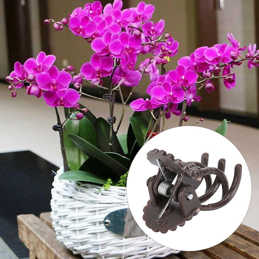 200 Stück Blütenförmige Pflanzenclips, Orchideenstängel-befestigungsclips, Gartenwerkzeugzubehör, Braun