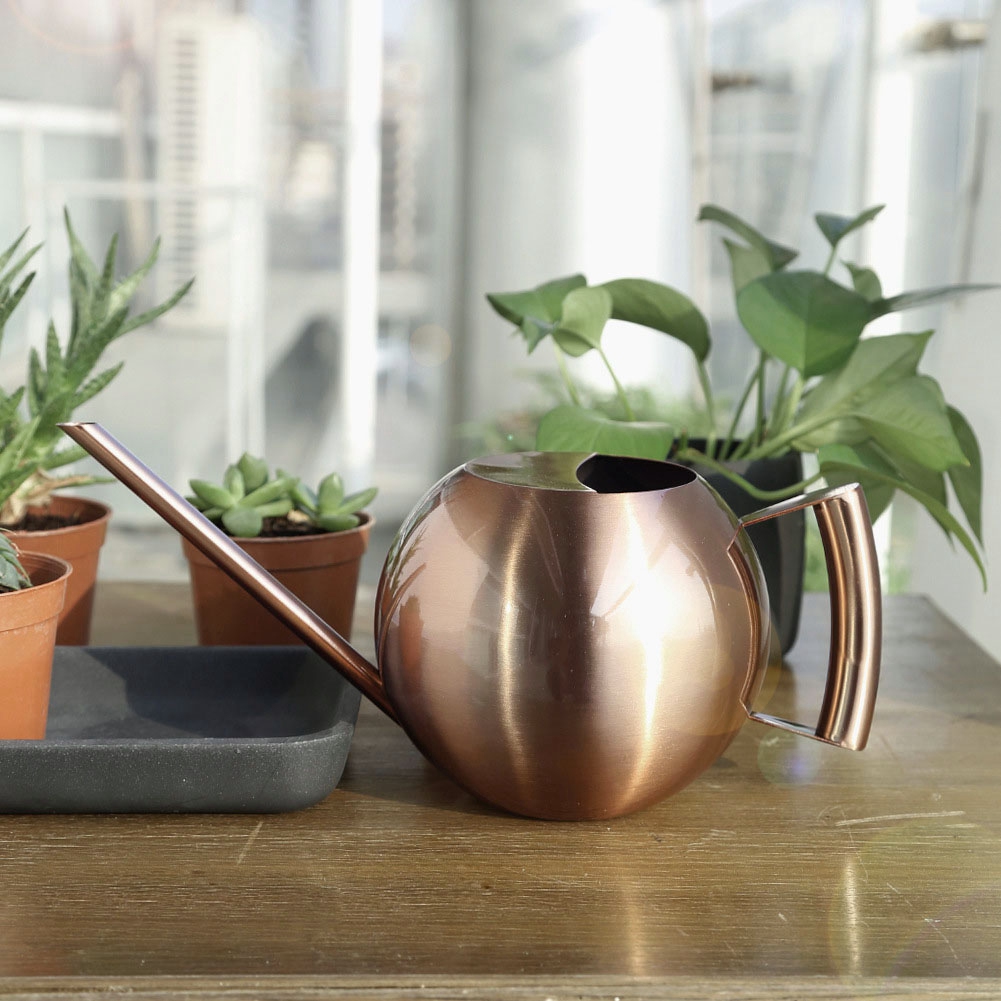 1000 Ml Edelstahl-gießkanne Mit Langer Öffnung, Geeignet Für Gartenblumen Und Pflanzen, Bronze