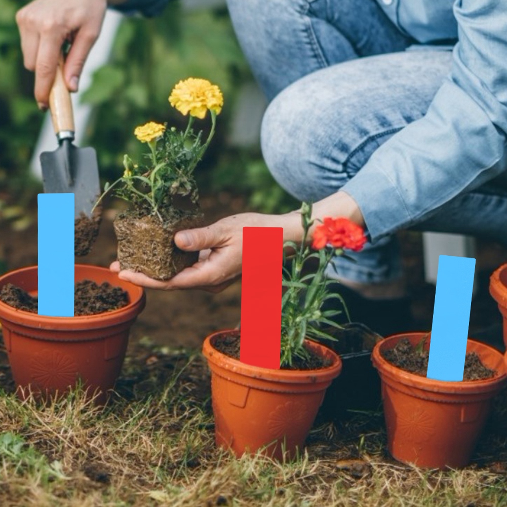 100 Stück Pvc-pflanzentopf-etiketten, Markierungen, Baumschul- Und Gartensamen-schilder (blau, Rot)