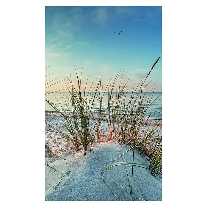 SanDesign Alu-Verbundplatte (150 x 250 cm, Nordsee Düne 2)