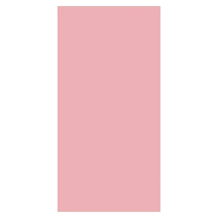 SanDesign Alu-Verbundplatte (125 x 250 cm, Bright Pink)