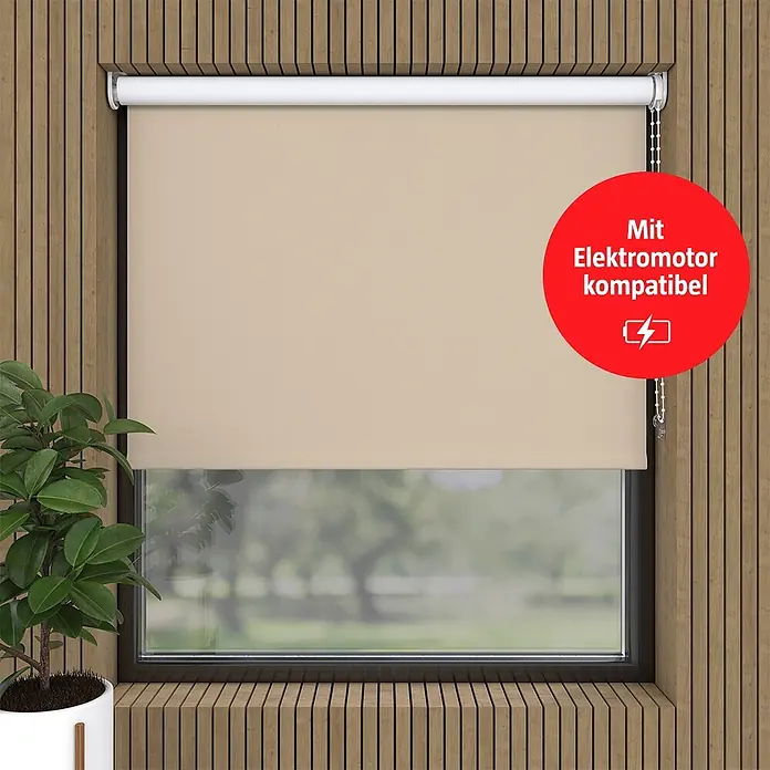 Verdunkelungsrollo (B x H: 210 x 190 cm, Taupe)