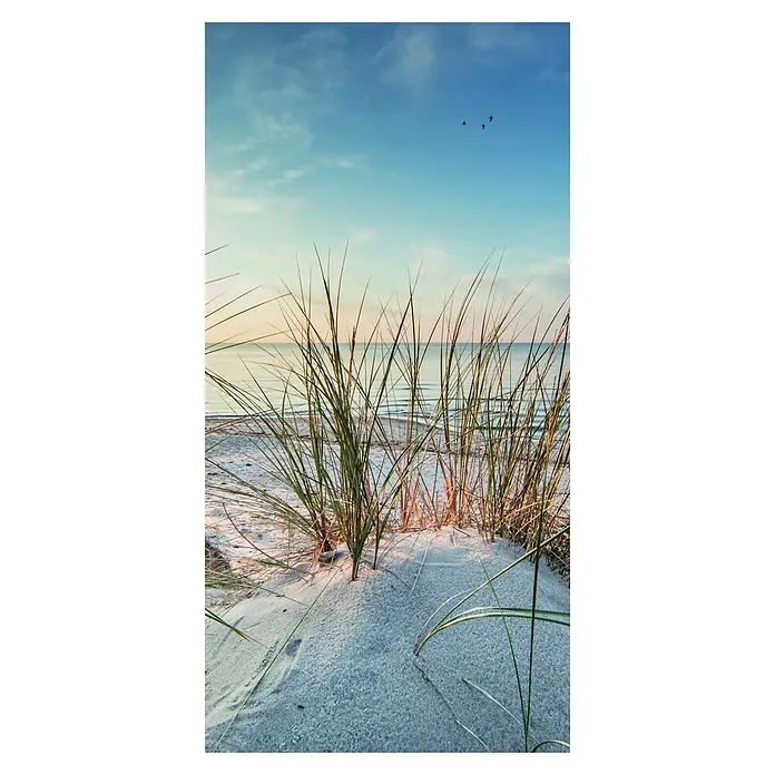 SanDesign Alu-Verbundplatte (125 x 250 cm, Nordsee Düne 2)