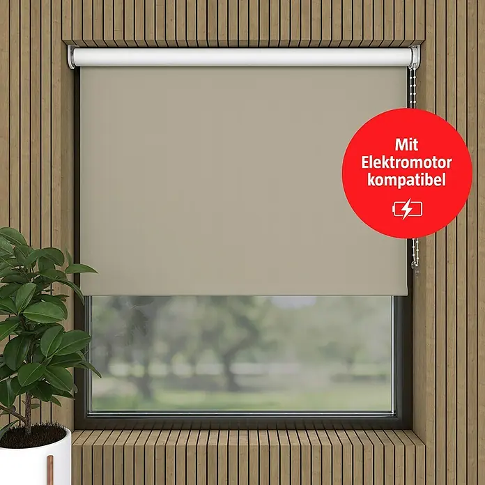 Verdunkelungsrollo (B x H: 85 x 190 cm, Zement)