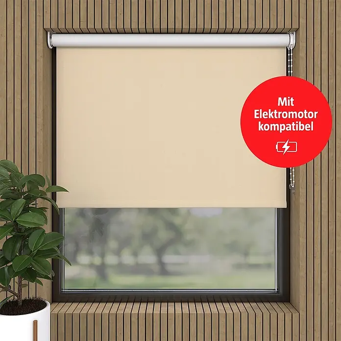 Verdunkelungsrollo (B x H: 170 x 190 cm, Creme)