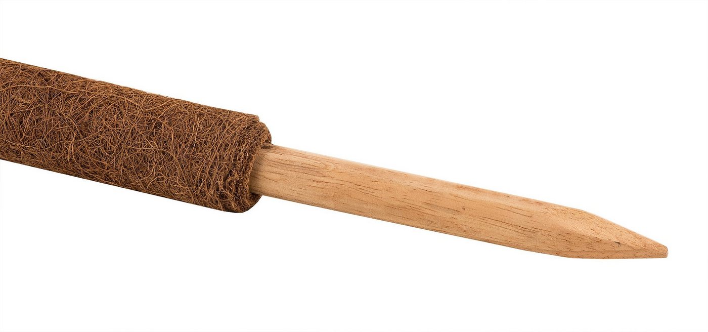 BigDean Ranksäule Pflanzstab aus Kokos - Rankstab Rankhilfe Set, 1 St., Rankstäbe, Verlängerbar, Kombinierbar, Natürlich Bild 4