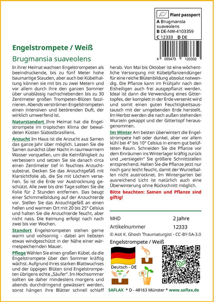 SAFLAX Blumensamen SAFLAX - Samen - Engelstrompete / Weiß Bild 4